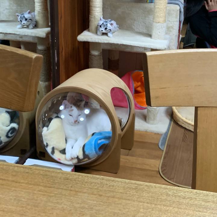 81f83efb 735e 4bd7 9571 28a0e8180ee2 1582295824425