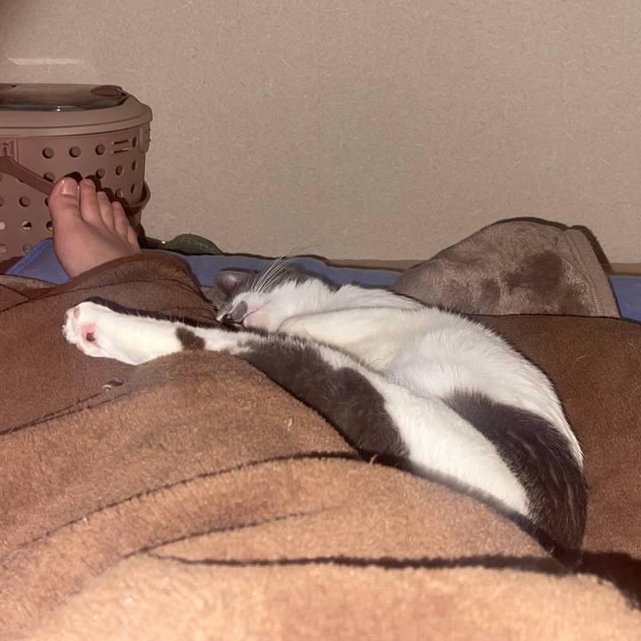 81f875fb f0ab 47f8 8493 4f1d7652b20a 1644421004967