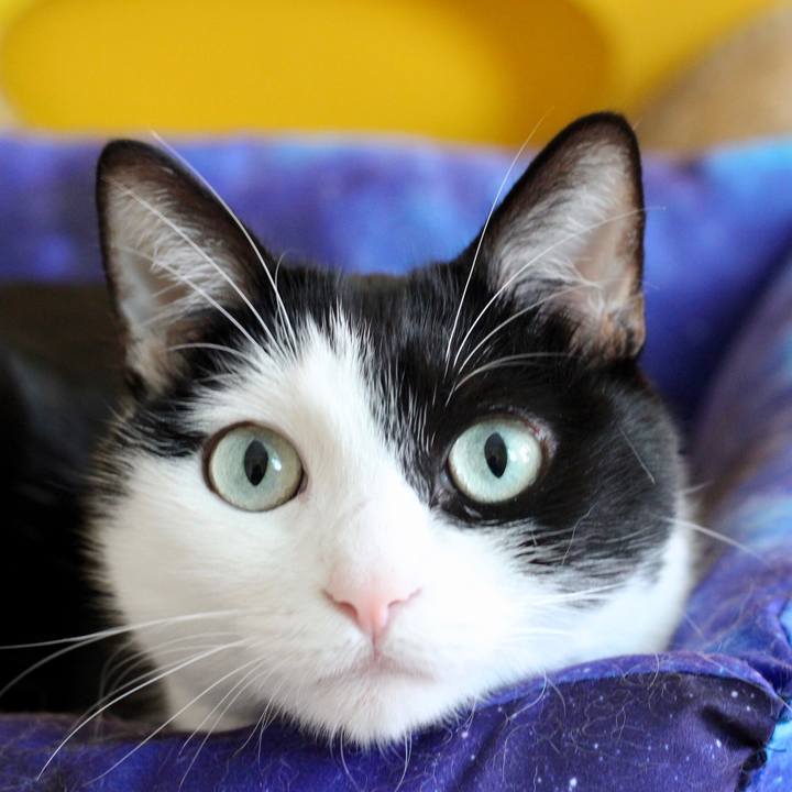 81f878a1 b75f 40dc a7fa 69e988af52ca 1570448115457