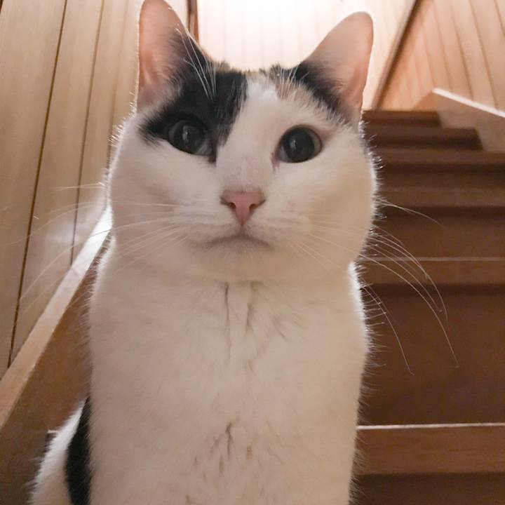 81f8875c 0f52 416f ac4a b899be19230a 1522459176325