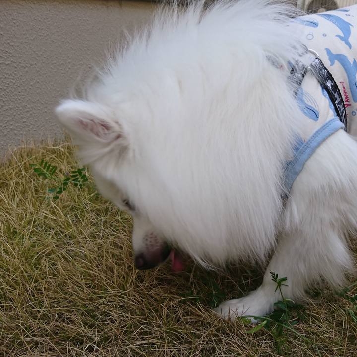 81f8d510 e16c 4897 93d3 4f1447621400 1586940240372