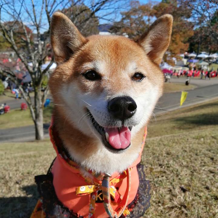 81f8e47a 631f 4106 b618 b67ee2835a34 1667105388143