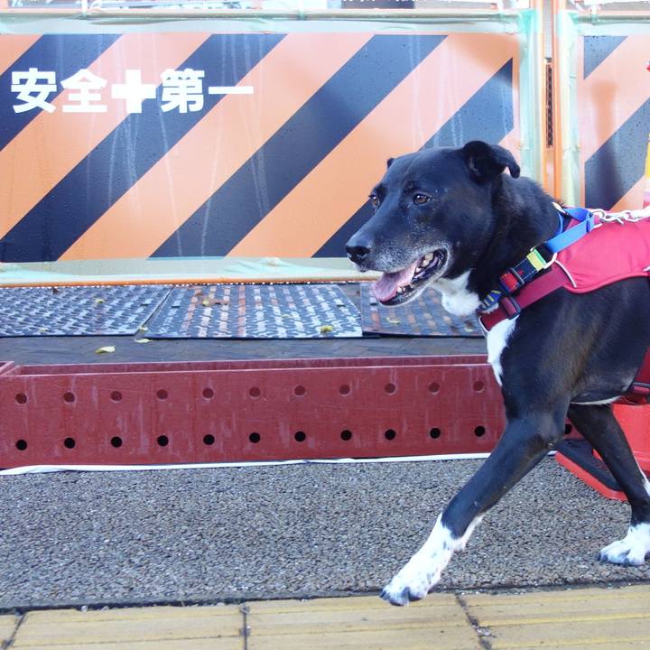 81f8f433 4dc0 42f9 8b87 dac94cd27932 1669251457209