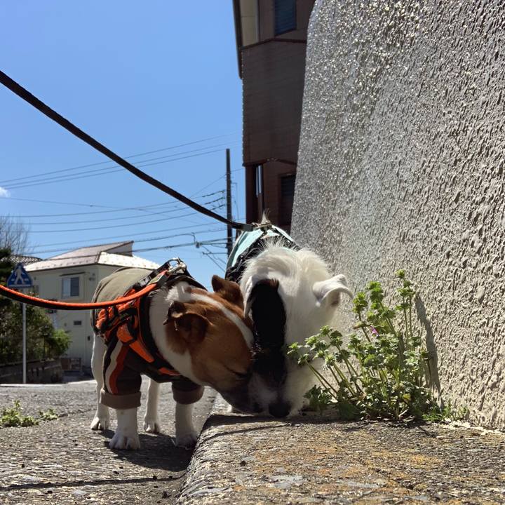 81f914f8 3d33 4209 a9a4 06181e76eb25 1554169057754