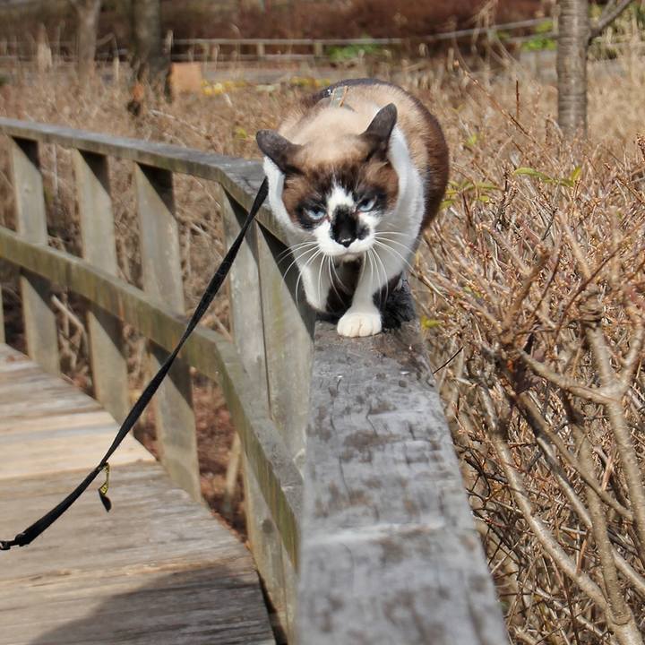 81f92978 3e40 4436 b1ec 5b7b2ce761de 1539338161805