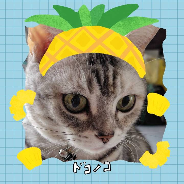 81f9489a 20e3 4aa5 9ace c915821ec56f 1784072652871
