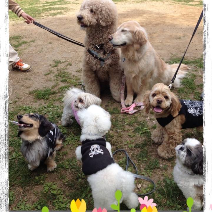 81f94b82 f6fa 4dce baa3 bc1d5186122c 1528120339795