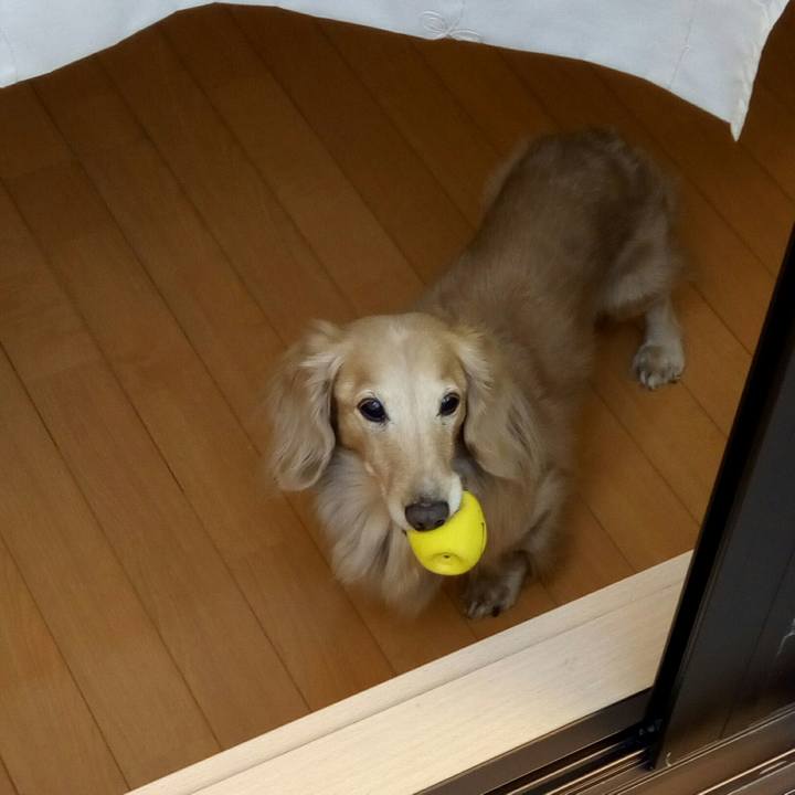 81f95696 2037 4d54 9823 73a874eca9bb 1545453469134