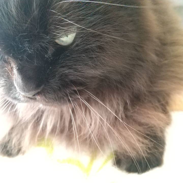 81f97d1a f77e 40a1 931b a8ee62f4f715 1604810516202