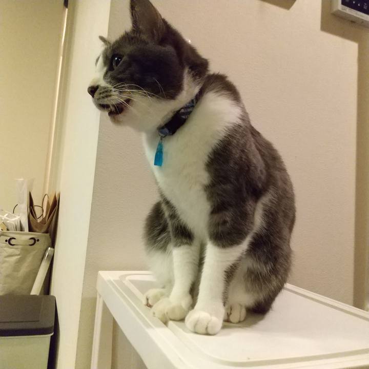 81f9d4bd 5e4e 4220 9578 67a8c471664a 1609796498672