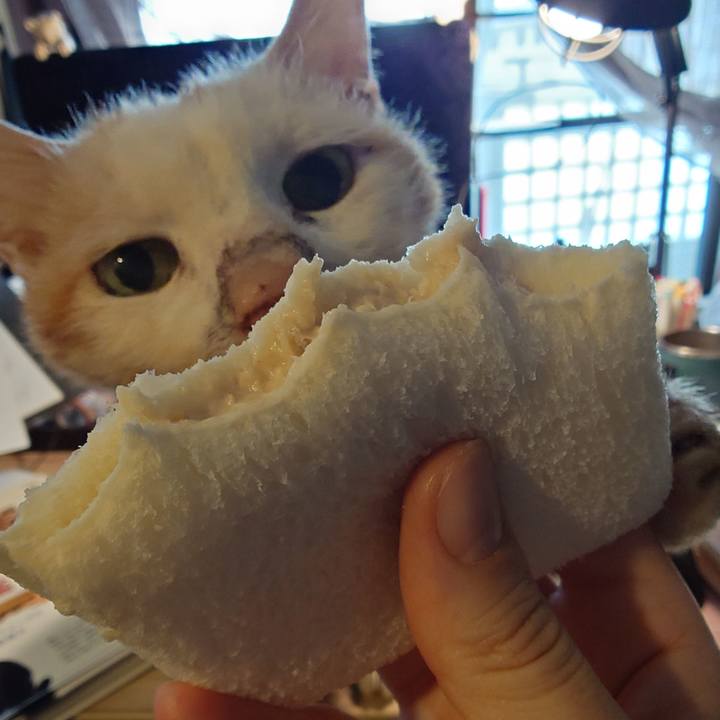 81fa96d8 96eb 4499 ba8d b29d692b44c9 1774163519793