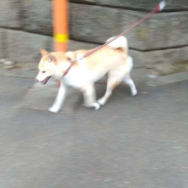 81faa6cc c5c9 46b6 acf2 21d0643ff3c7 1603412421286