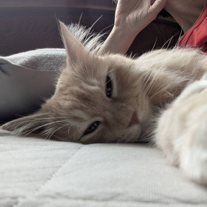 81faafa6 2732 49c1 82fd 1e2fdb72e904 1754794572182