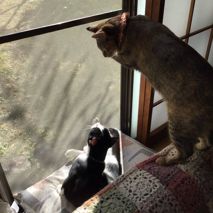 81fac70b 1bb5 4154 99b7 fd52782ea016 1632734961173