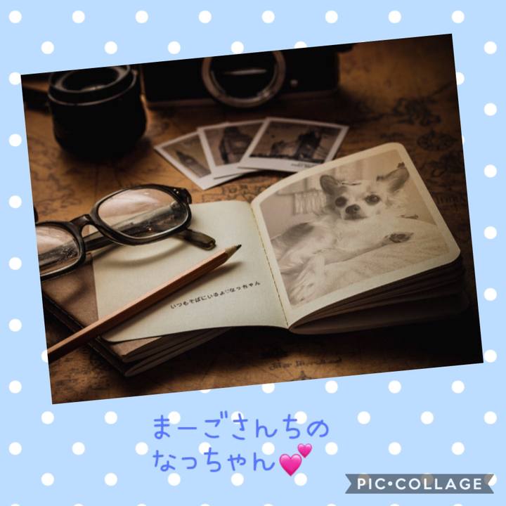 81fae85c a3cd 4121 9394 bec32b788083 1549593880162