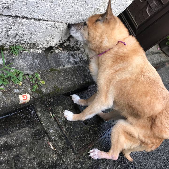 81fb0f66 a782 498d b626 314f4dda79b1 1564352772476