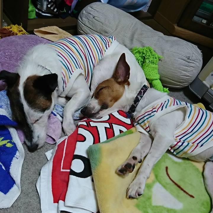 81fb1245 212e 4868 8bc8 f2308e813e39 1527997550937