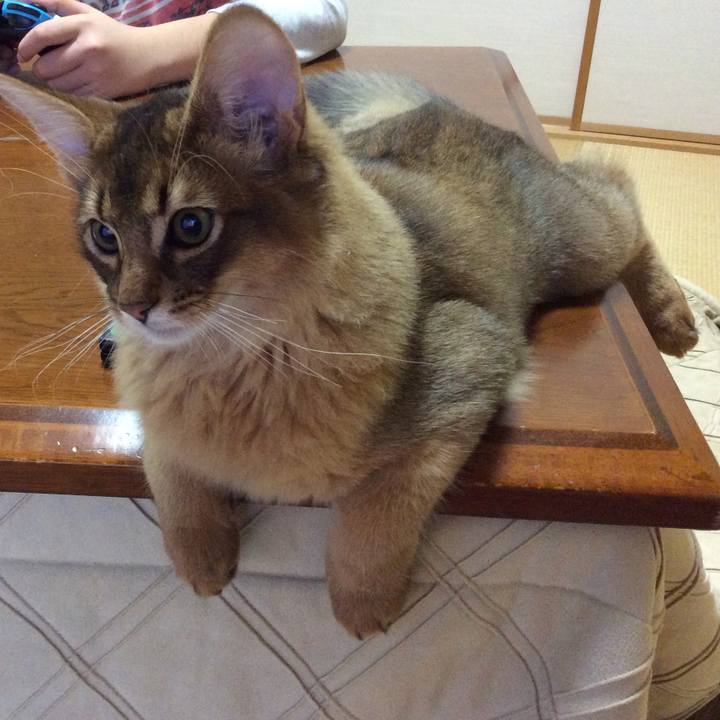 81fb2607 85d9 40ca b381 3e729d80ea9b 1574909723366