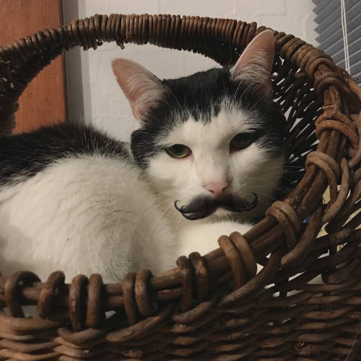 81fb7055 2d75 460c a554 4194f89714c2 1656799967771