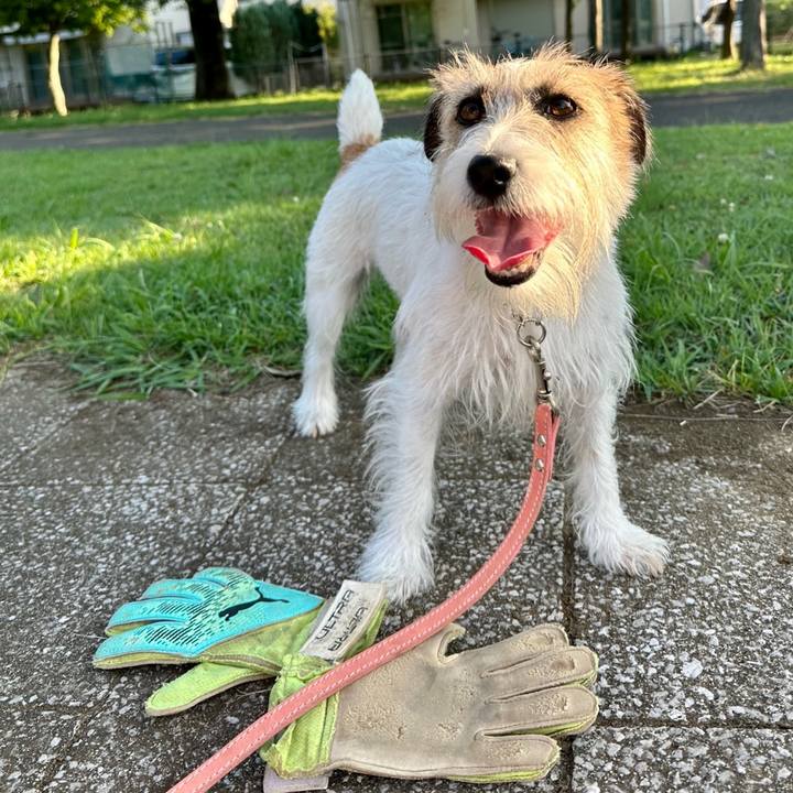 81fba966 66af 498d ba14 b27660317c0c 1689589637104