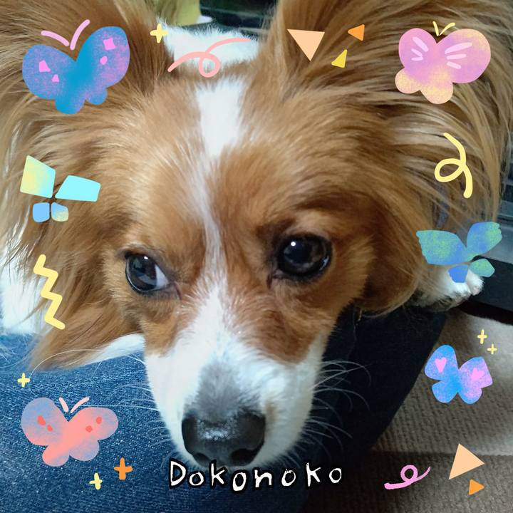 81fbfa70 3cfa 41ac 9ec6 45382066dee9 1711023807354