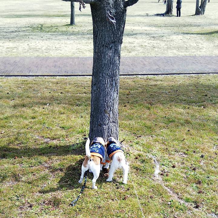 81fc2637 b19e 43b5 bead bcb758c7a583 1550985033907