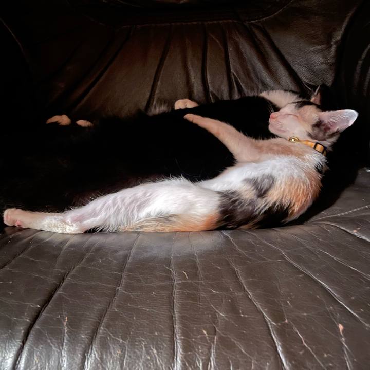 81fc4da2 08b3 4507 8b1f 17efb96c28ac 1658577273210