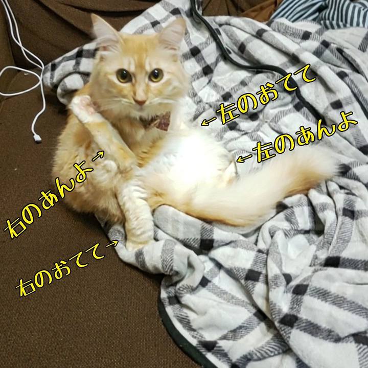 81fc63fe 2fbd 4550 b439 0107a0a68bac 1697695129423