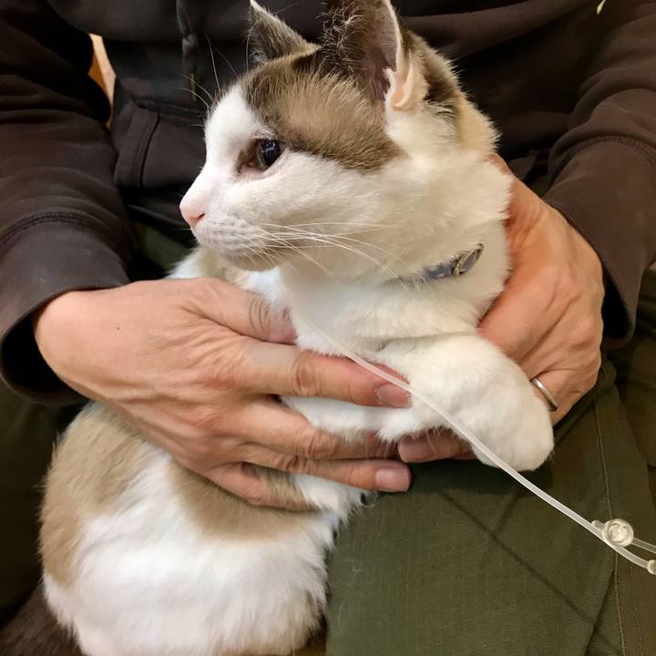 81fc760e 8a1a 4fa1 9463 8a6ac58ecf60 1606915652837