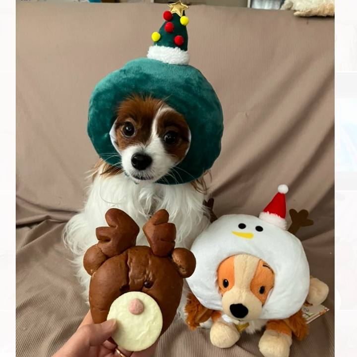 81fc843e 46af 4498 9563 eb93e7dcf530 1733543481980