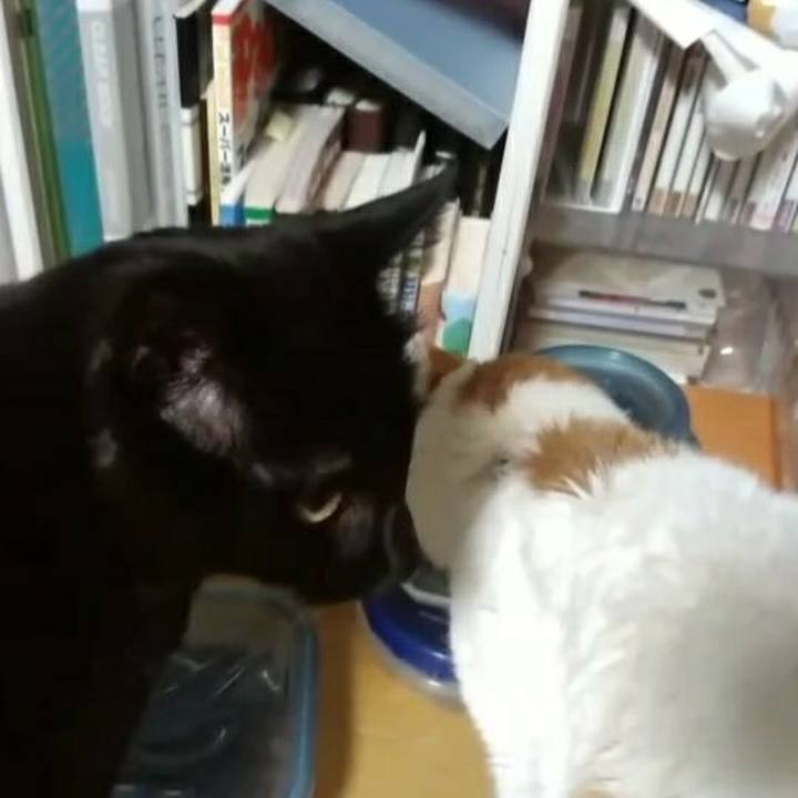 81fd3573 a3da 4734 8092 7e1ea83a08da 1617189743702