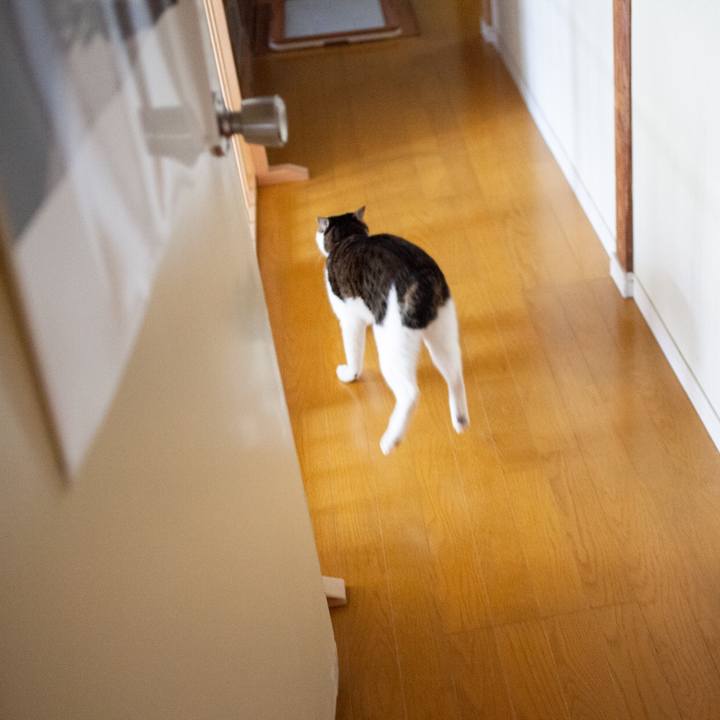 81fd36fe 9774 4be9 a048 4caa475b07fd 1583646931651