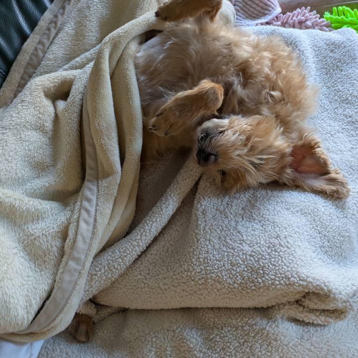 81fd46b9 b8df 4e10 95b4 801748fc849b 1744929219934