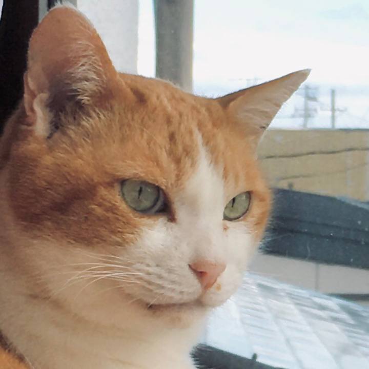 81fd4ec3 bccd 4038 8a8d 61db04c0e2e9 1583914763587