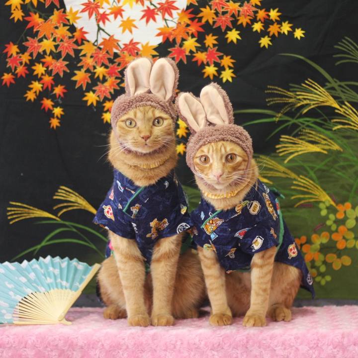 81fd530d 28ed 42bc 877a 821e2950211d 1694573004242