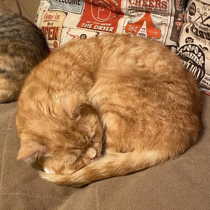 81fd67f2 2121 4f6b a73e f0a7ac48ce11 1585156395350