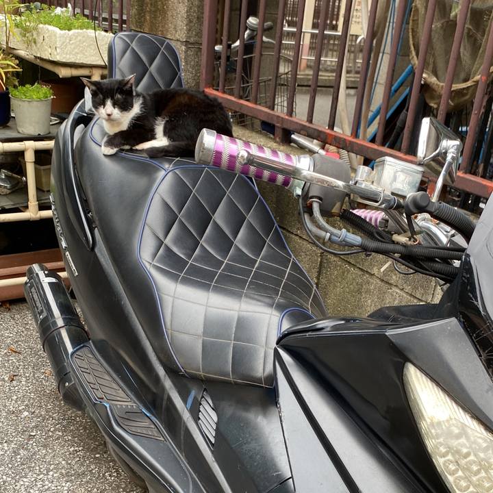 81fd7654 7178 4ae0 9710 b331d0bc8e1e 1662811587117