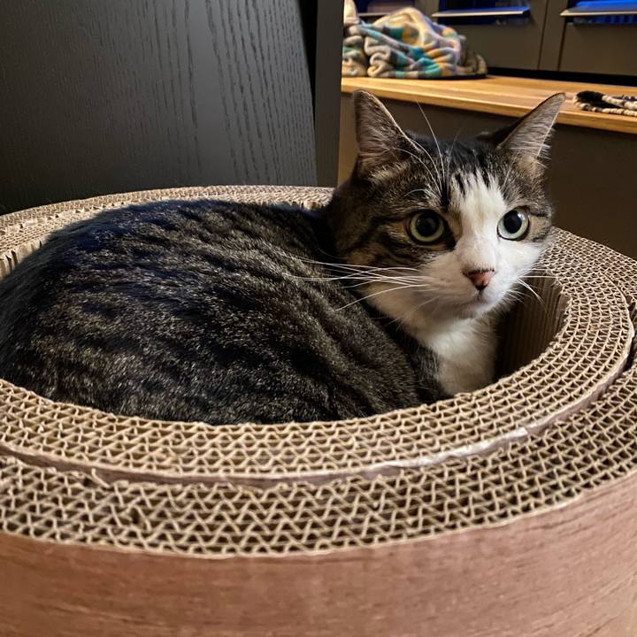 81fd8d72 4801 4d59 b1bd 85253d577ab2 1730019233788