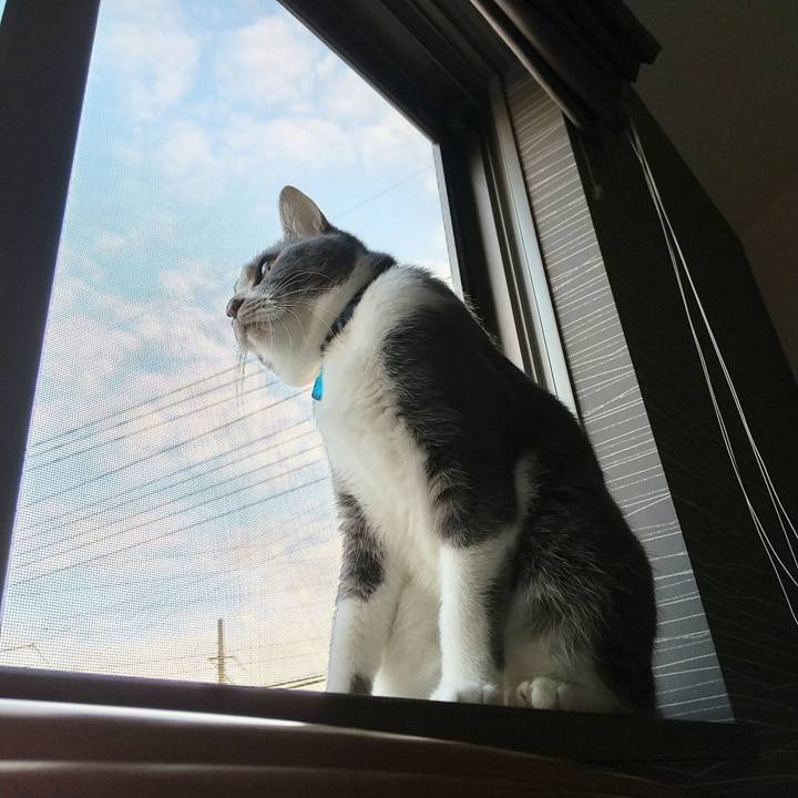 81fda0ba 5c55 4d20 a8a7 07068ac15f9e 1603230353840