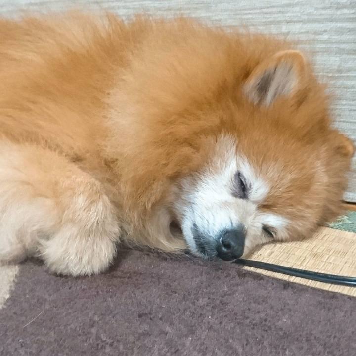 81fdab8d cebe 443b acf0 7ae570ff23fc 1524645623367