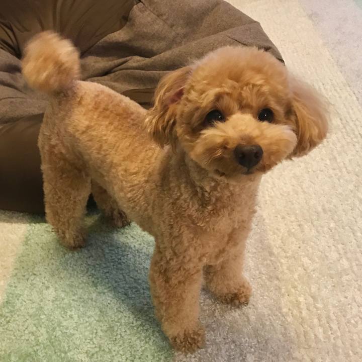 81fdbae2 19e2 4981 a252 2051e4b51d64 1522147617419