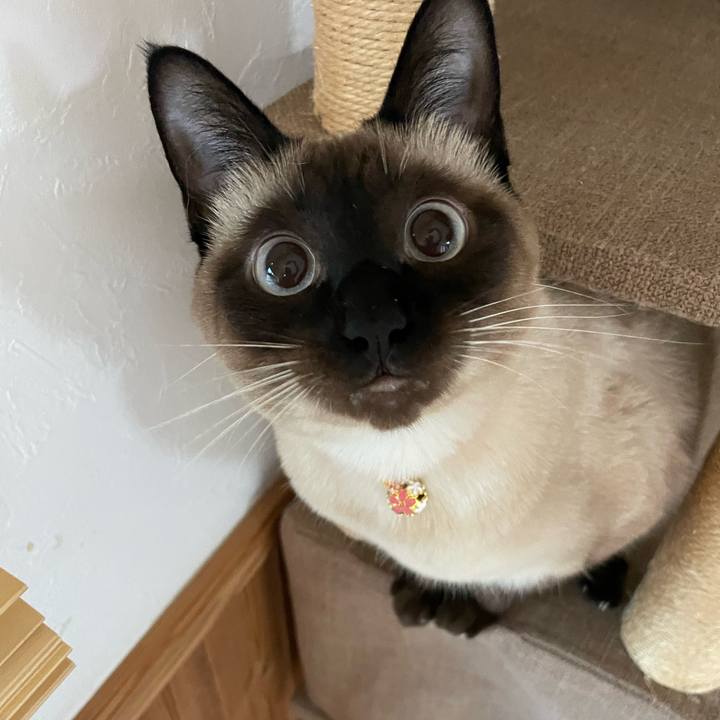 81fdf2b4 9168 41b5 984f fa242f09b47f 1720122292498