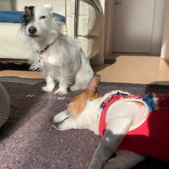 81fe5f8a c76b 4015 a00b dcf1f84ae2ff 1609993184672