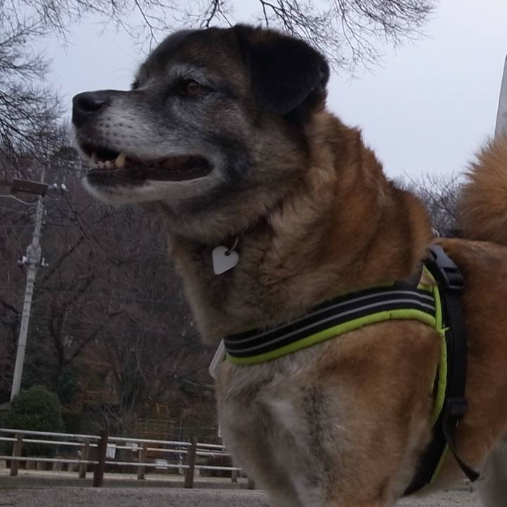 81fe7109 08f9 4f46 8c0c 6e0abfba093b 1584700604353