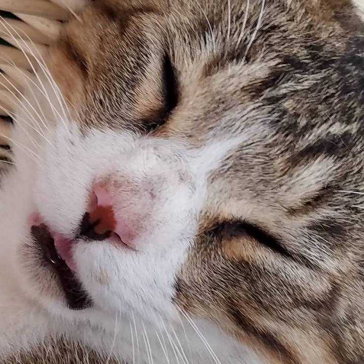 81fe7c02 b35b 448e a938 4f45c18817e7 1517056952077