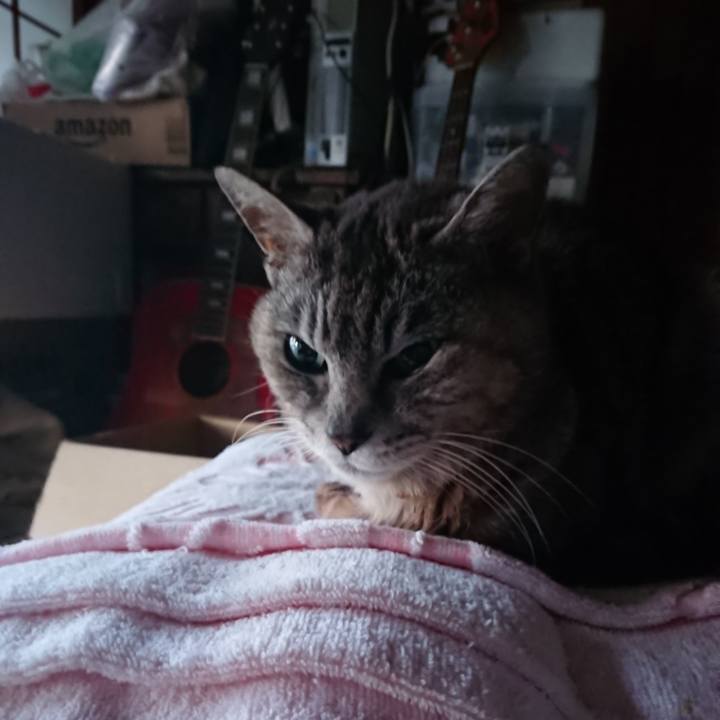 81fe8411 bf34 4d22 a061 b3b471e64d98 1592422619506