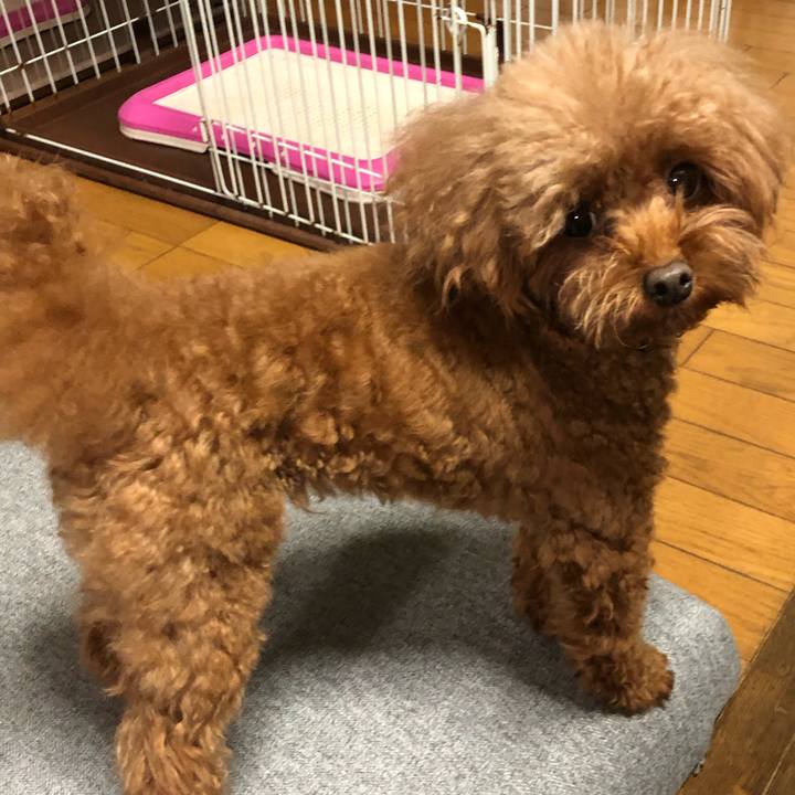 81fe9c3f 58b7 4514 bd7f 93b458a5525a 1605862060677