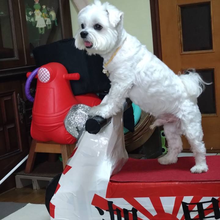 81fec759 bebd 4153 b379 7fe297b3d71a 1699187272803