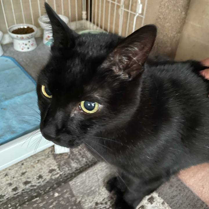 81fed6ec 68b1 432c 9a8d a9827af9543d 1606949348493