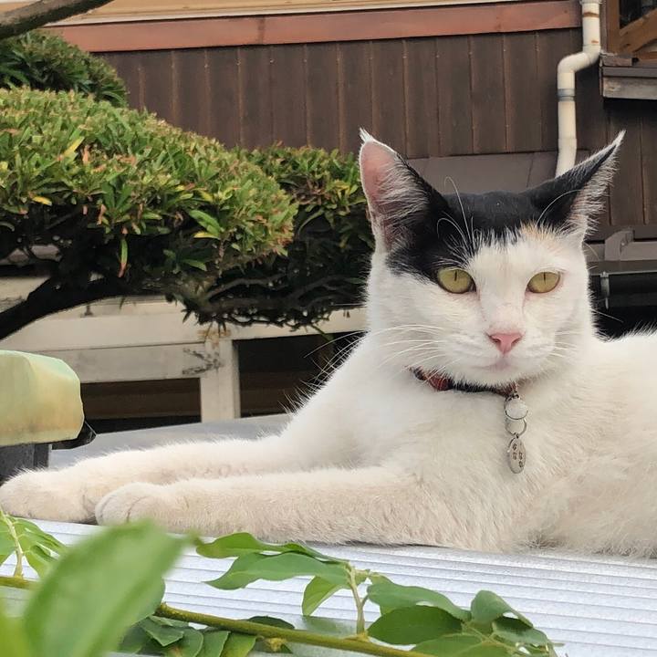 81ff51d9 fbfd 4815 a79f 732a730cf4d7 1627737830816